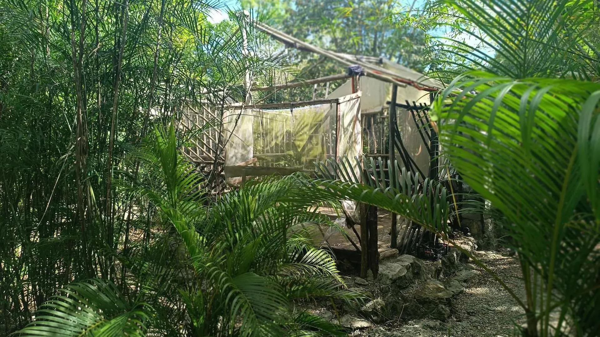 Camping Space For Your Tent Tulum
