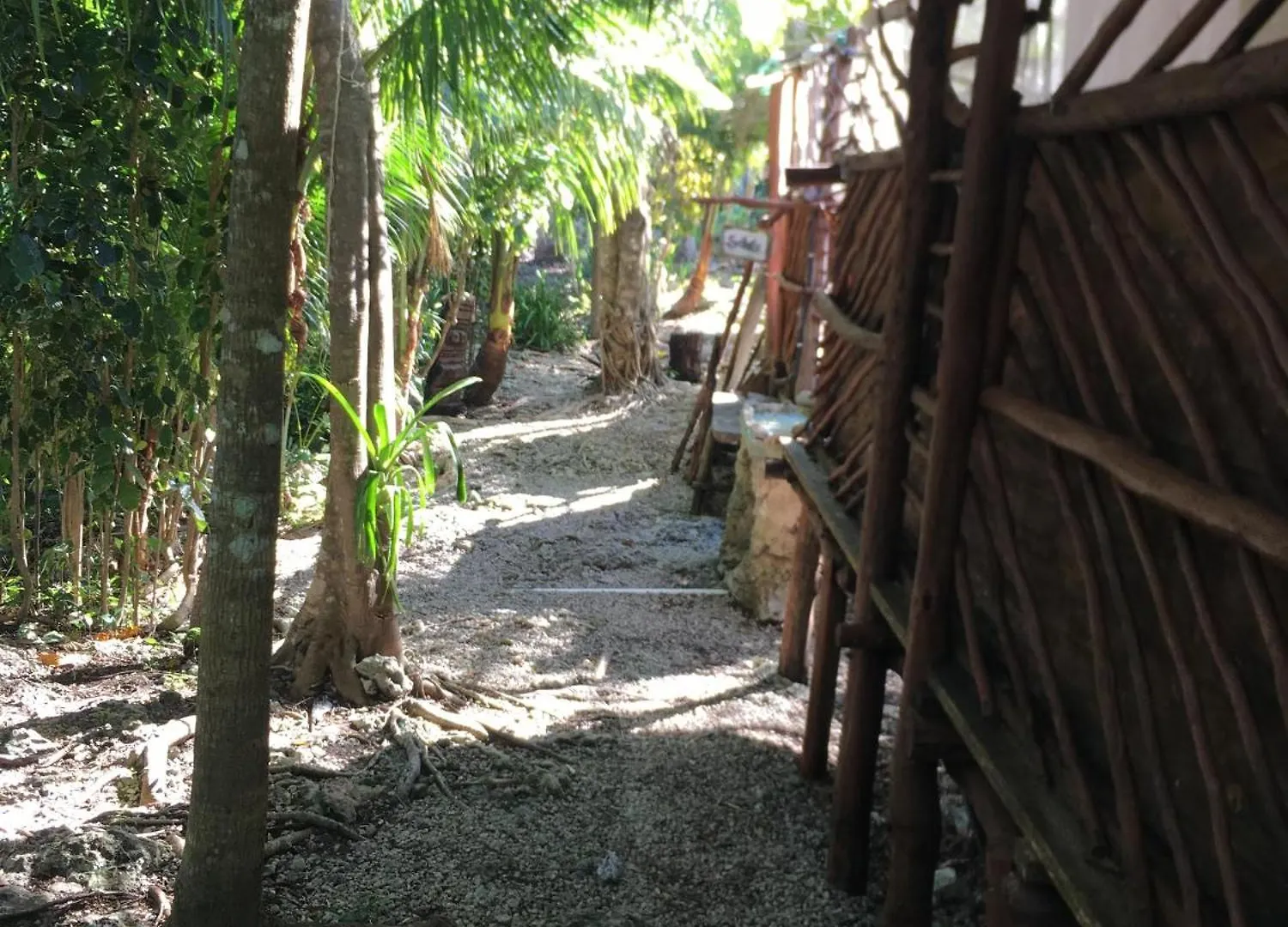 Camping Space For Your Tent Tulum