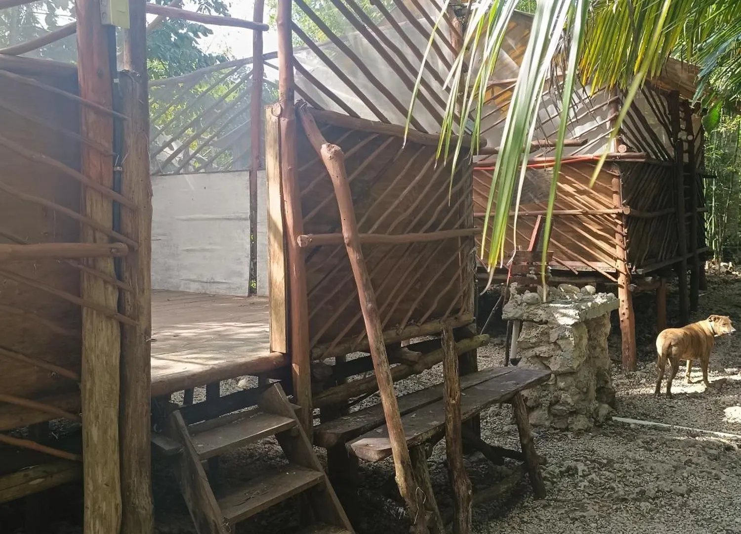 Space For Your Tent Tulum 0*,