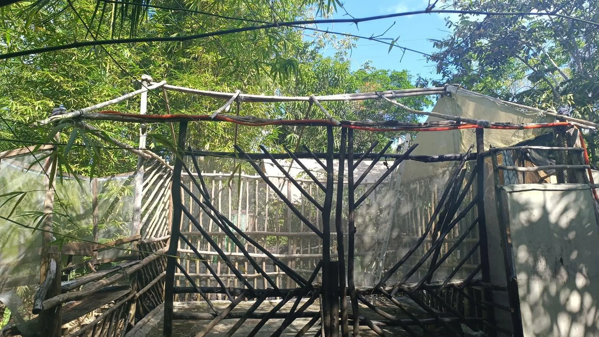 Space For Your Tent Tulum Camping